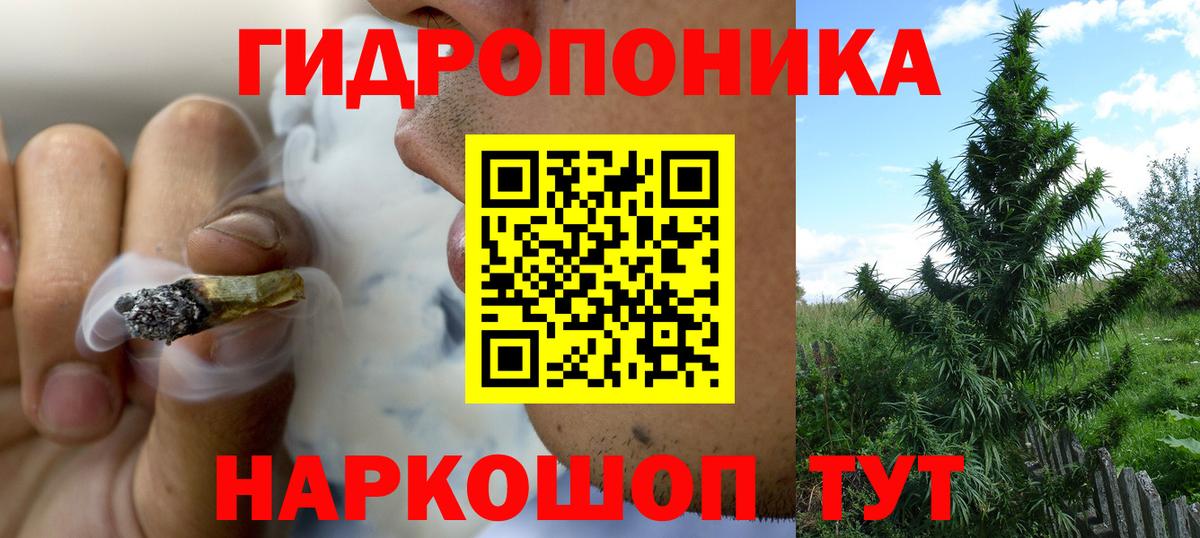 Каннабис семена Видное